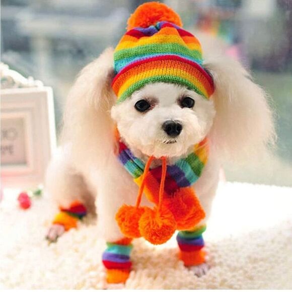 Hand-Woven Dog Winter Scarf Leg Warmers Hat Puppy Small Dogs Cat Costume New - Picture 1 of 11